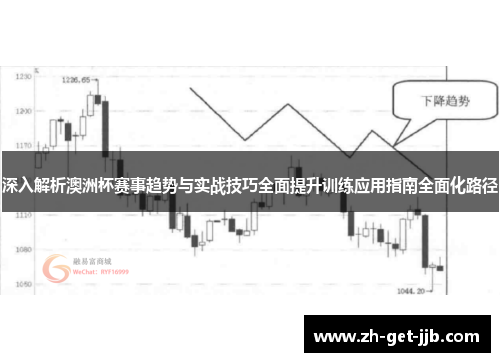 深入解析澳洲杯赛事趋势与实战技巧全面提升训练应用指南全面化路径