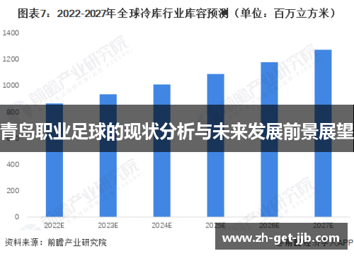 青岛职业足球的现状分析与未来发展前景展望